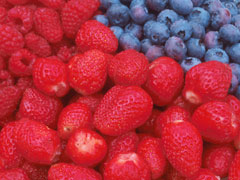 Berries 2