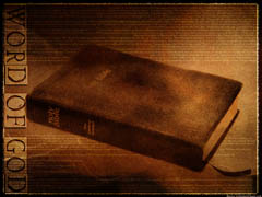 Bible 3 Bible 3