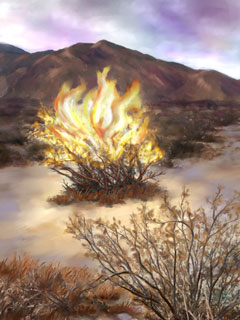 Burning Bush