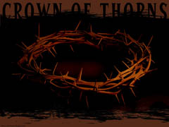 Crown of Thorns