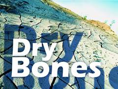 Dry Bones