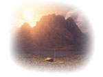 Sinai Camp - Soft-Edged