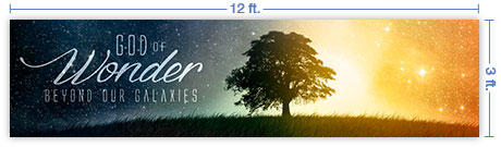 12x3 Horizontal Banner